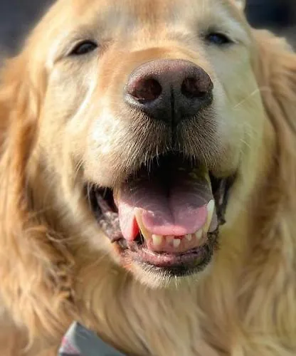 Mallo's Avec Parking Gratuit Et 2 Balcons Apartment *