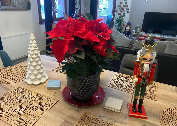 Mallo's Avec Parking Gratuit Et 2 Balcons Apartment Colmar